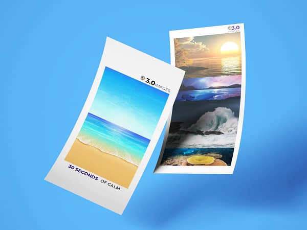 DL Flyers (Double sided)